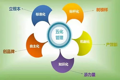 掌握班組管理4大要點,實現合理配置班組人員