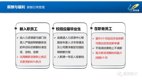 第一房企碧桂園人力資源管理體系圖解