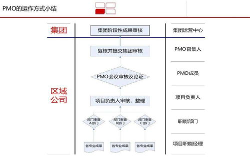 高效 龍湖 pmo 項目管理部 體系研究