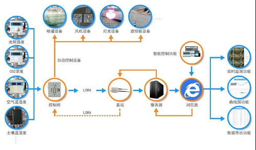 智慧農業 讓農業變得更 聰明