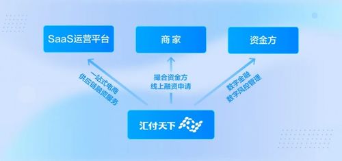匯付一站式資金管理解決方案上線 為直播電商添把火