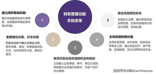 圖解 關于中央企業加快建設世界一流財務管理體系的指導意見